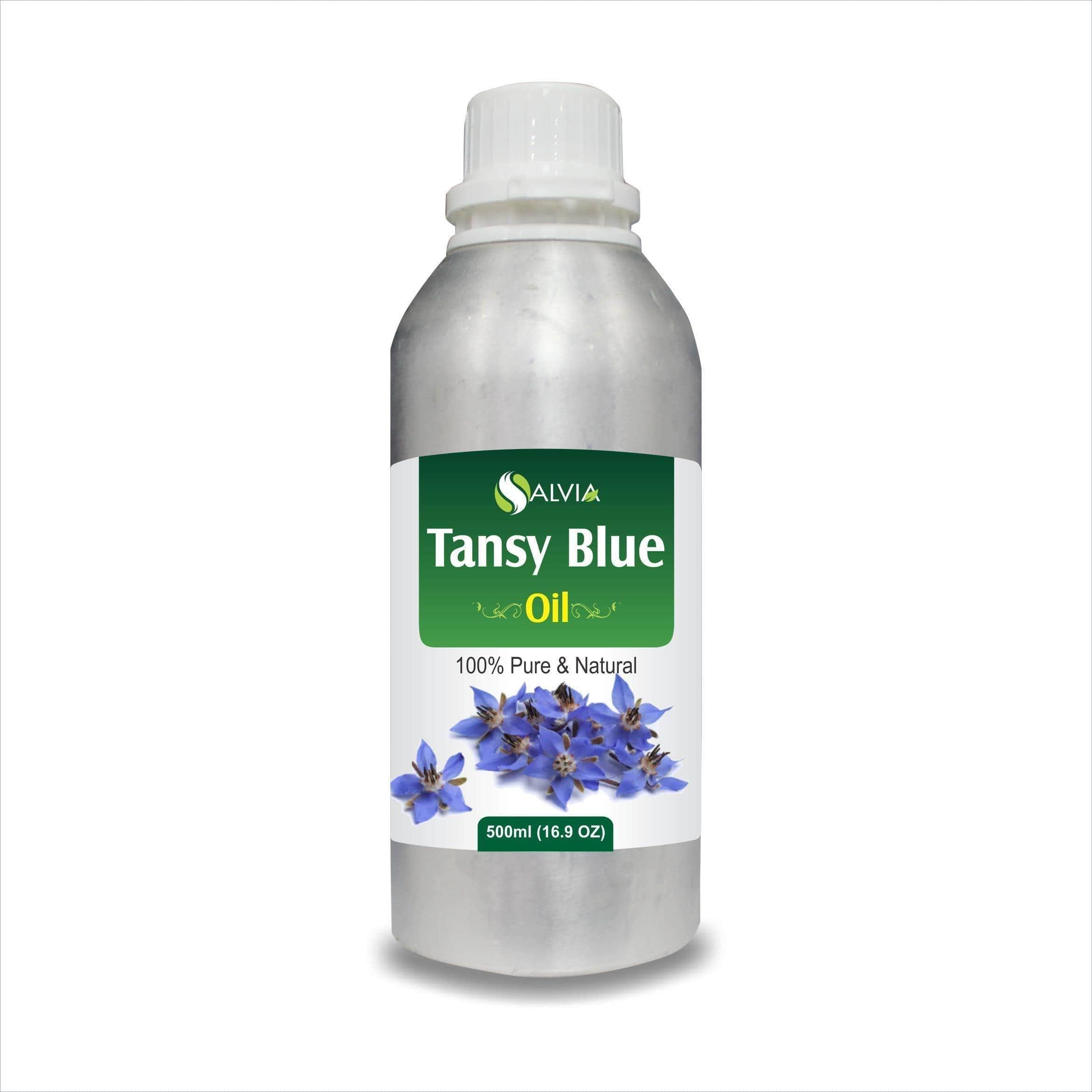 tansy flower tansy flower